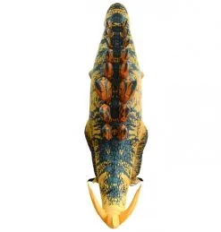 Inflatable Stegosaurus Dinosaur Costume -Props Sales Store 54138 3