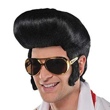 Elvis Wig 1 Elvis Wig