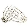 Skeleton Hands Claws Cosplay Costume Prop
