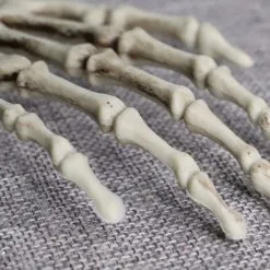 Skeleton Hands Claws Cosplay Costume Prop -Props Sales Store hlw prop skullclaws2